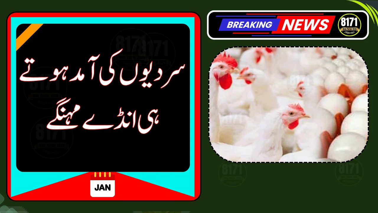 Egg Prices Surge in Pakistan as Winter Demand Peaks