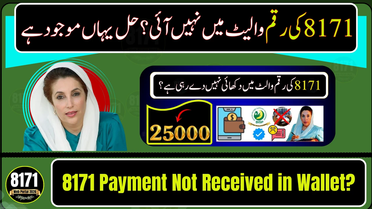 8171 Payment Not Received in Wallet? Here’s the Fix for 2026