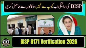 BISP 8171 Verification 2026: NADRA & Tehsil Office Complete Guide