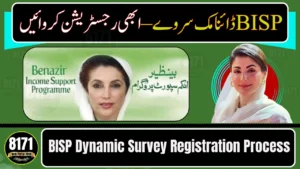BISP Dynamic Survey Registration Process 2026