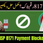 BISP 8171 Payment Blocked Issue 2026