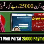 8171 Web Portal 25000 Check Online 2026 – Easy Guide to Verify Your Payment