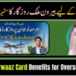 Hunarmand Naujawan CM Punjab Parwaaz Card Benefits for Overseas Jobs 2026
