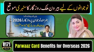 Hunarmand Naujawan CM Punjab Parwaaz Card Benefits for Overseas Jobs 2026