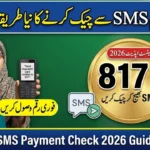 How to Check 8171 Payment by SMS in Pakistan (Latest Method – 2026)