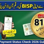 8171 Check Online CNIC 2026 – Step-by-Step Payment Status Guide
