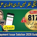 8171 Payment Not Showing? Top Reasons and Fixes (2026) – Instant Solution Guide